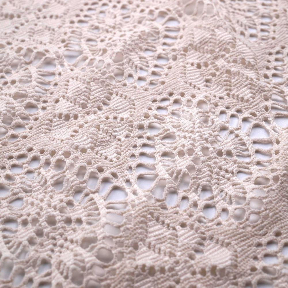 Pale blush lace fabric fills the frame, showing an openwork pattern of small loops and larger floral motifs. The fabric lies flat in a close view.